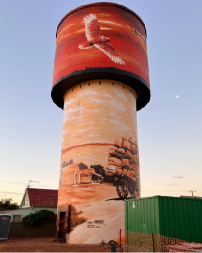 Heesco's art wraps the Lake Cargelligo water tower