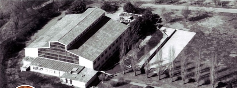 black and white aerial photo of building