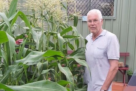  Man with garden maize