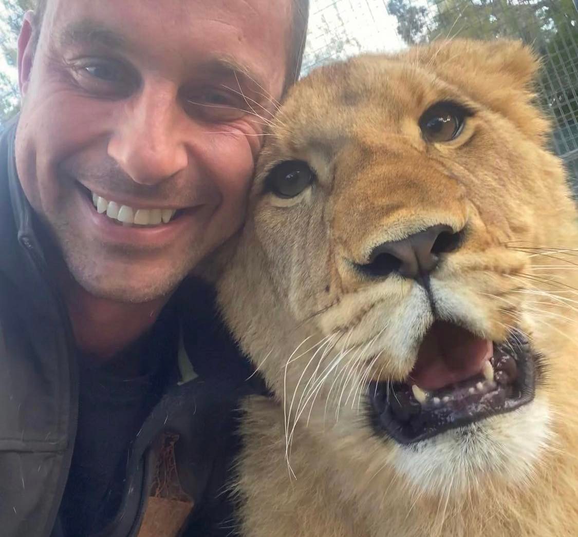 Zookeeper Chad's orphaned lioness united with brother at Mogo Wildlife Park