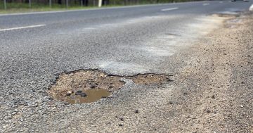 Eurobodalla Council urges patience on pothole backlog, but one local has an idea