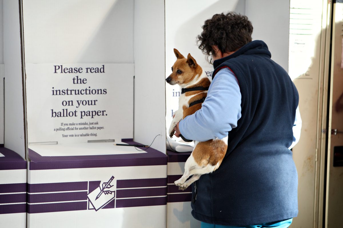 Woman voting with dog