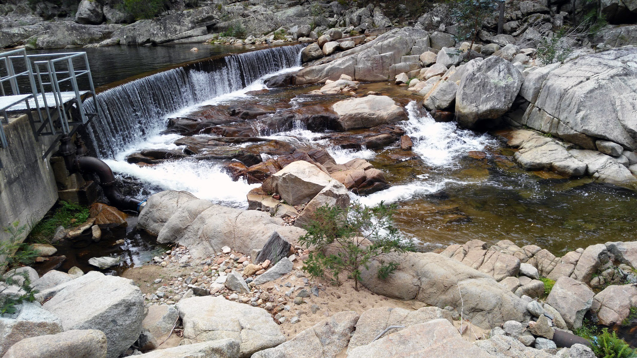 Clearer water trickles into Merimbula after council changes source to Tantawangalo Weir