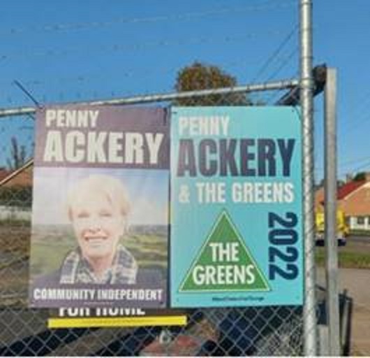 Fake election signs