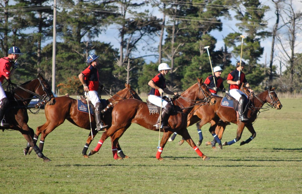 Polo game in action