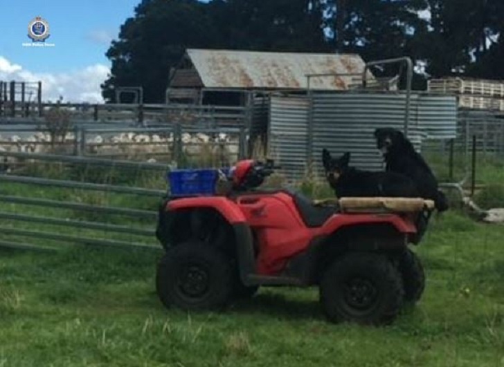 Quad bike stolen from a property on the Monaro Highway at Ando