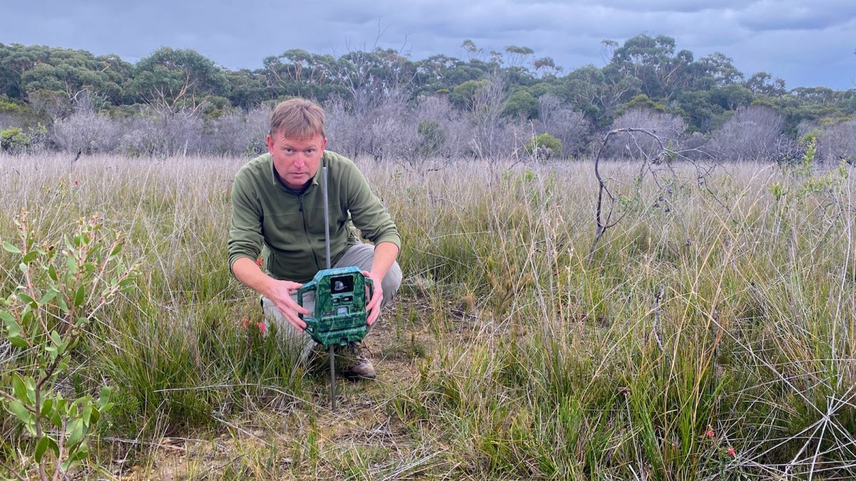 Senior research scientist Andrew Claridge with a camera trap at Ben Boyd National Park