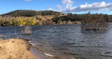 BEST OF 2022: Now the water’s going down, let's talk about Lake Jindabyne's foreshore