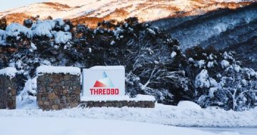 Three snowboarders hurt after falling from Thredbo chairlift