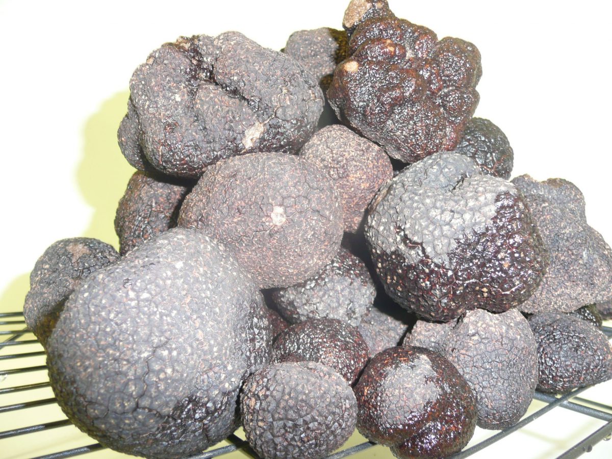 Truffles