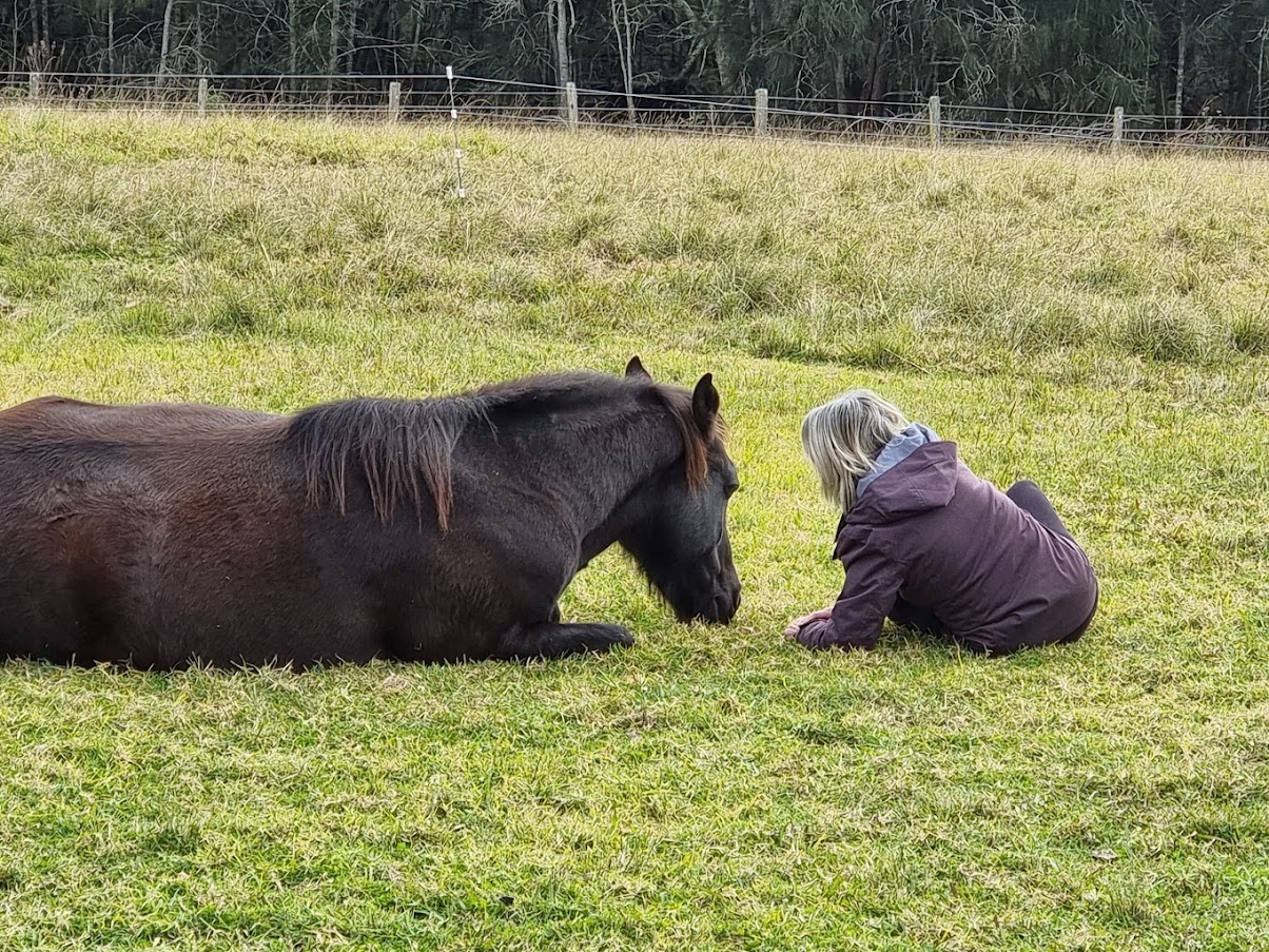 The place where horses help humans heal - and vice versa