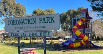 Business chamber calls for 'internal and external levers' to be pulled before major rate rise in Yass