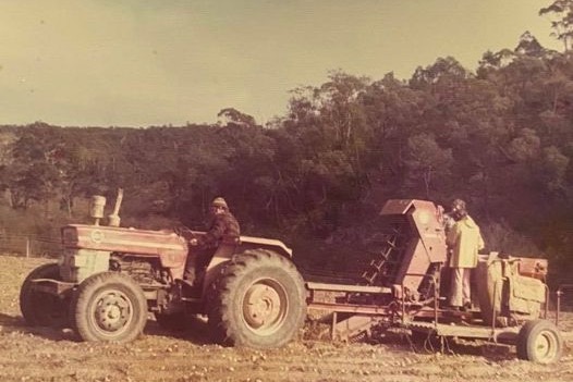 Old picture of farmers in machinery digging potatoes