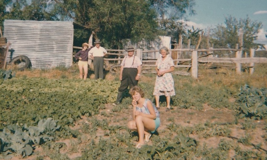People in a veggie patch