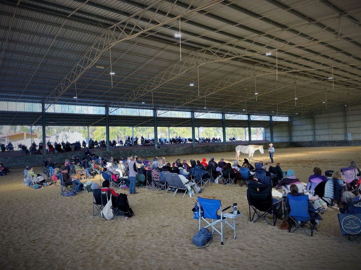 People at CSU Equine Centre in chairs watching Warwick Schiller and a horse