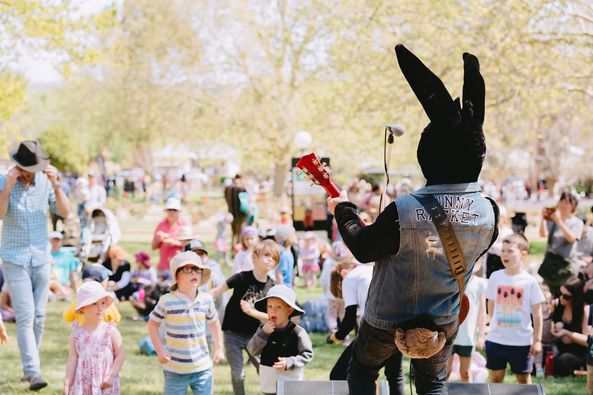 Rabbit playing concert