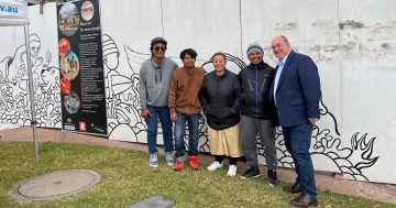Mural for Bega gallery speaks to relationship between town and Indonesia