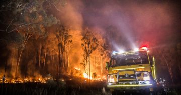 Nation-first project seeks to understand impact of bushfire on young children