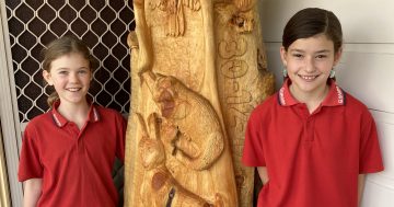 Art helps bushfire-stricken Quaama students carve out a fresh start