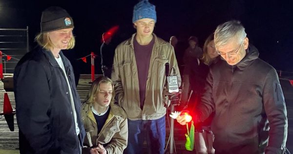 Bioblitz, video projections and light show will illuminate Bermagui goldfields