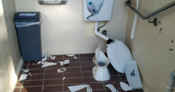 Police investigating 'senseless vandalism' of Bega Valley toilet blocks and playgrounds