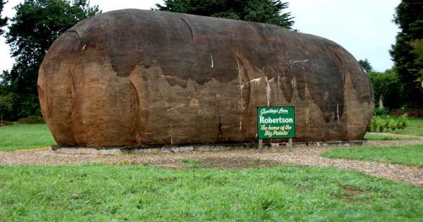 For Robertson's Big Potato, it's time for a fresh starch