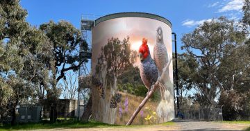 Murrumbateman draws on silo art as inspiration - to beautify water tank