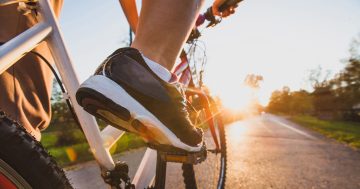 Have your say: Cootamundra-Gundagai Council developing safer, connected cycling network