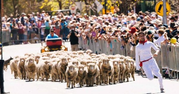 The luck of the Irish has landed Boorowa a lucrative spot in national kitchens