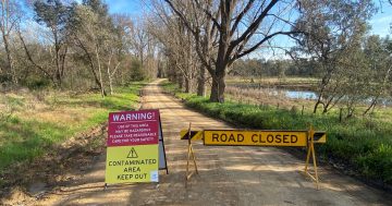 Foul odour closes popular Tumut wetlands as EPA is called in