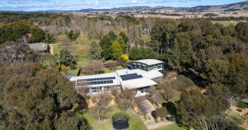 Three acres of space only three minutes from Bungendore's centre