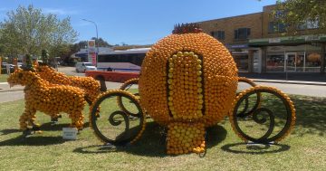 VIDEO: Check out the best of the 25th Griffith Citrus Sculptures exhibition
