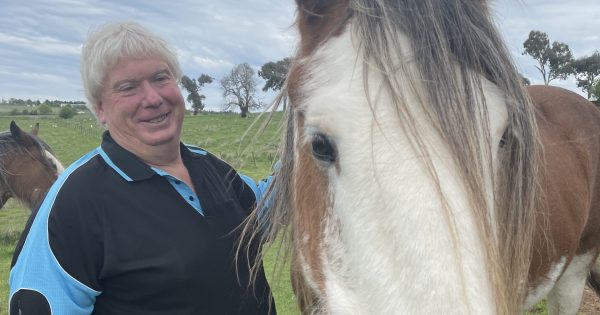 Cooma Cottage driven to keep history alive - and kicking