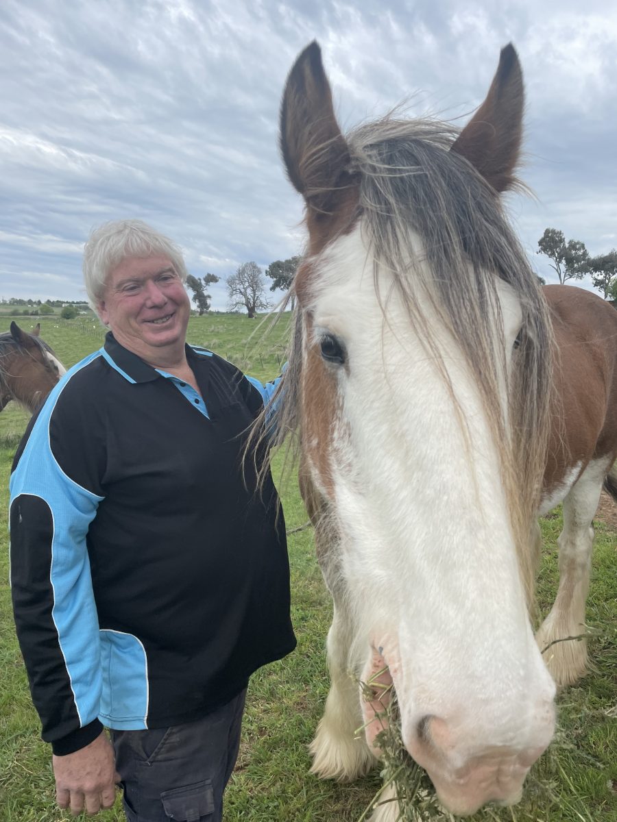 Man and horse