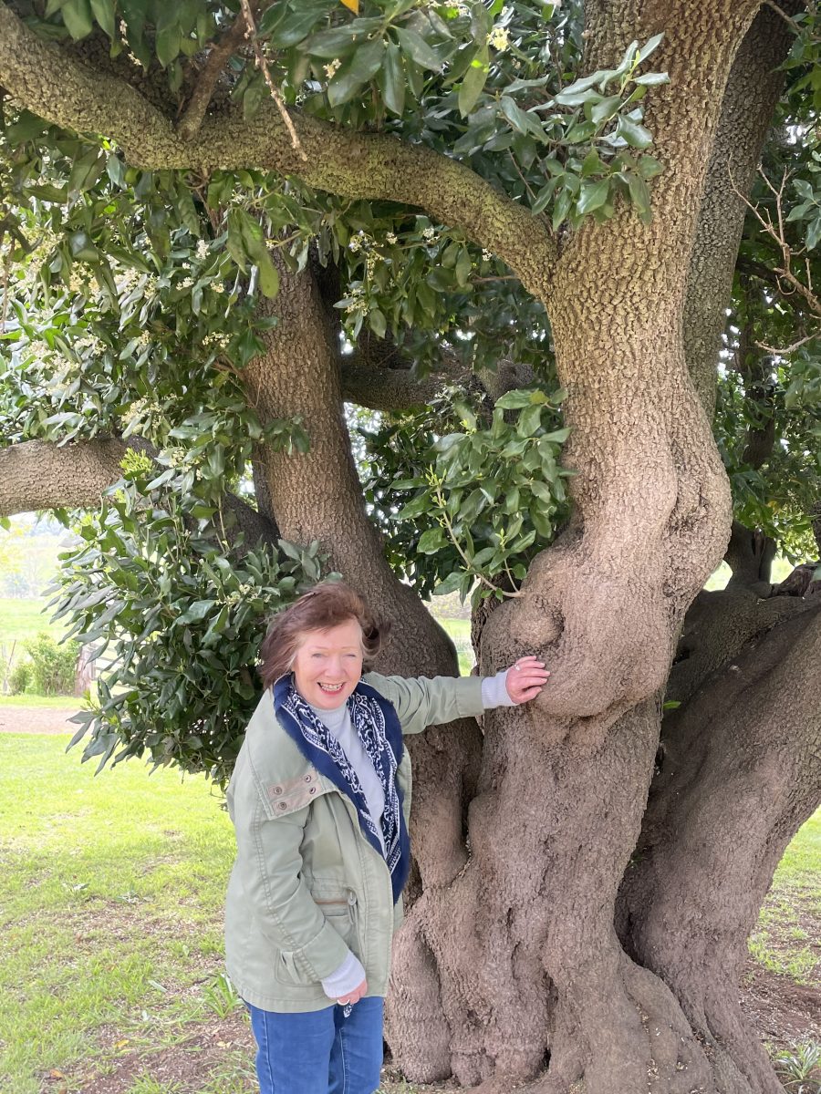woman under tree