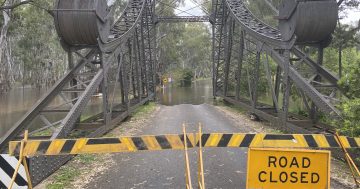 Darlington Point braces for a big river as flooding moves downstream