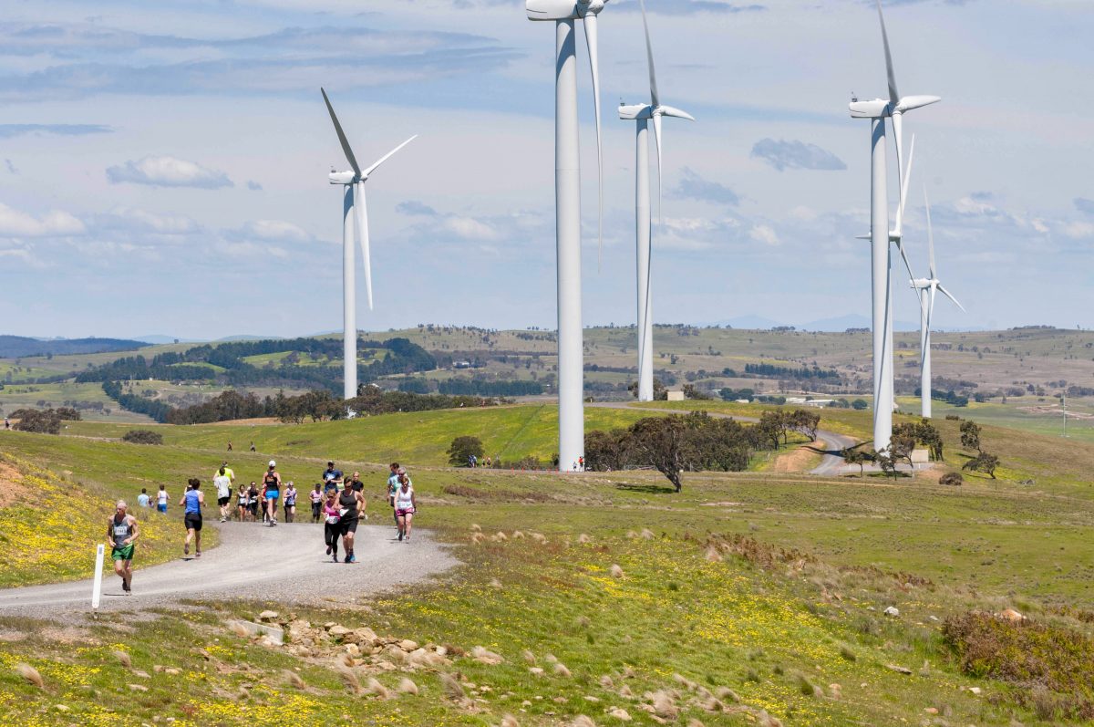 Runners at wind farm