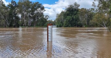 UPDATE: Evacuations begin in North Wagga with major flooding on the way