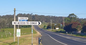 Congo Road reopening push moves up a gear with plans on display for community feedback