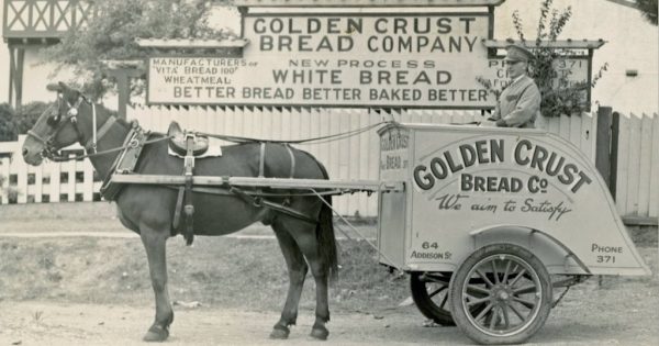 Signwriter’s grandson recounts changing times in postwar Goulburn