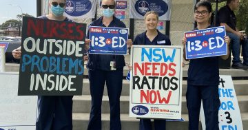'Bleeding staff interstate': Regional nurses to join fourth statewide strike in less than a year