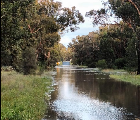 Floodwaters near Bribbaree