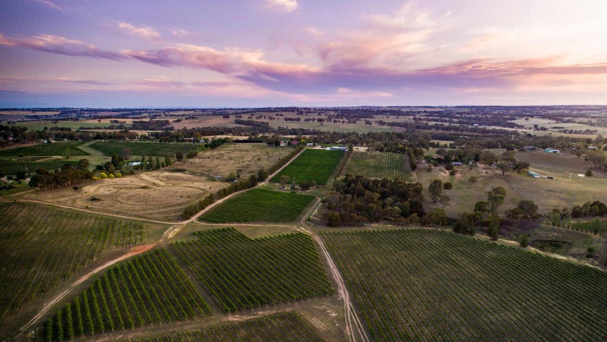 aerial view of Hilltops vineyard