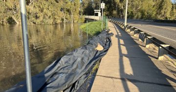 Major traffic delays, evacuations and a rising river in Wagga on Friday morning