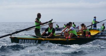 George Bass Surfboat Marathon a goer for 2023, but entries are down on previous years