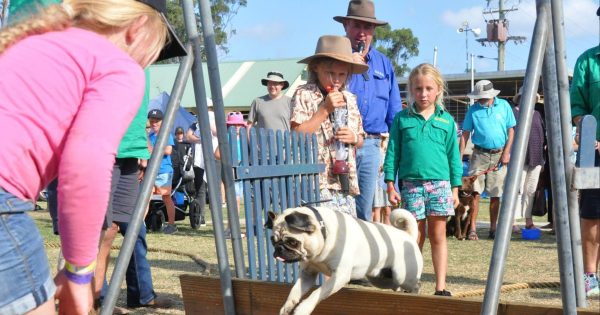 South East's 2025 agricultural show season starts this weekend