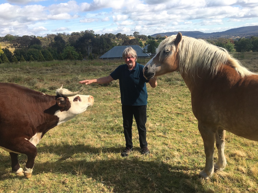 Cow and horse with Doug Rawlinson