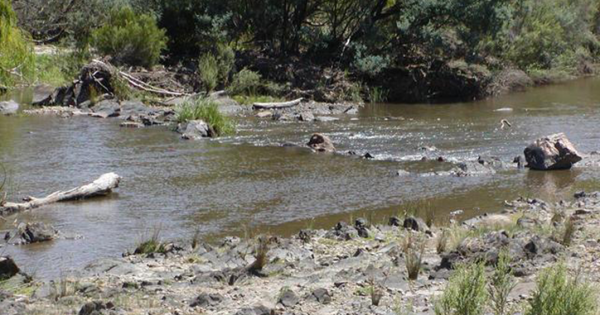 Snowy Monaro irrigators accused of breaching water licences to be taken to court