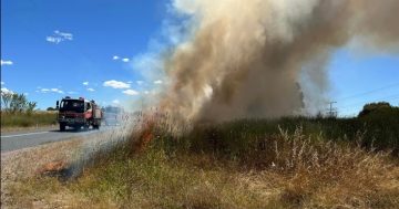 South West Slopes facing significant fire threat, warns RFS superintendent