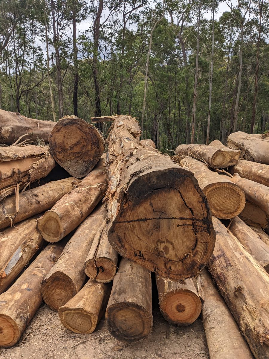 logging 
